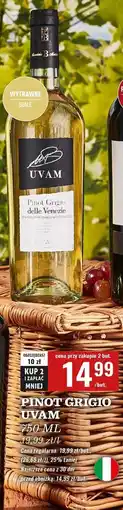 Biedronka Wino Uvam Pinot Grigio oferta