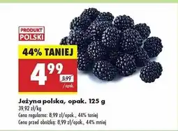 Biedronka Jeżyny polska oferta