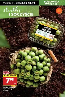 Biedronka Mini kiwi polska Biedronka Warzywniak Owocowy oferta