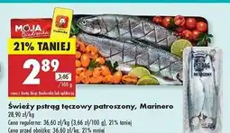 Biedronka Pstrąg tęczowy patroszony Marinero oferta