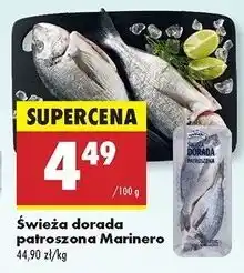 Biedronka Dorada patroszona świeża Marinero oferta
