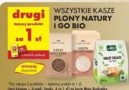Biedronka Kasza jaglana Gobio oferta