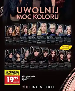 Biedronka Farba do włosów 5.8 Syoss Permanent oferta