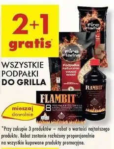 Biedronka Podpałka naturalna Fire & Flame oferta