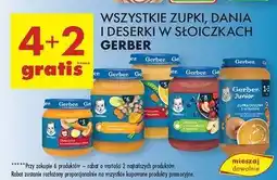 Biedronka Zupka dyniowa z nutą kokosa Gerber Junior oferta