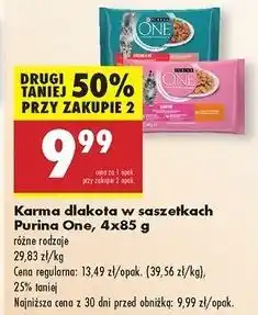 Biedronka Karma dla kota junior z kurczakiem i marchewką Purina One oferta