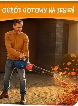 Biedronka Dmuchawa do liści 3300 w Niteo Tools oferta