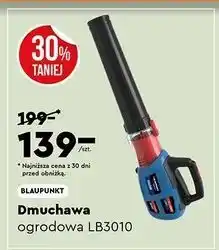 Biedronka Dmuchawa ogrodowa lb3010 Blaupunkt oferta