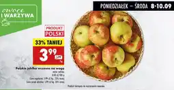 Biedronka Jabłka wczesne polskie Biedronka oferta