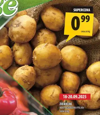 Arhelan Ziemniak Arhelan oferta