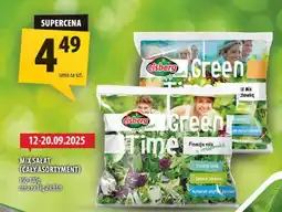 Arhelan Mix sałat Eisberg oferta