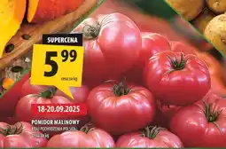 Arhelan Pomidor malinowy Arhelan oferta