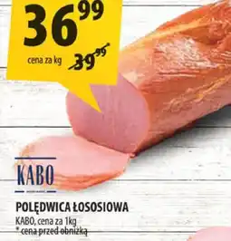 Arhelan Polędwica łososiowa Kabo oferta