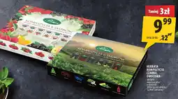 Arhelan Herbata kompozycja czarna, owocowa Bifix oferta