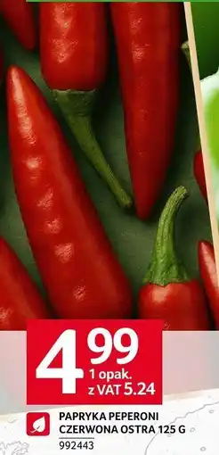 Selgros Warzywa papryka peperoni czerwona ostra Selgros oferta