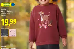 Lidl Bluza dziecięca Lupilu oferta