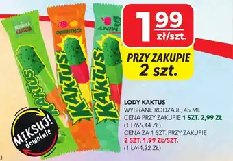 Top Market Lody kaktus oferta