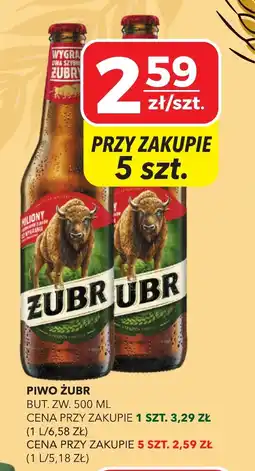 Top Market Piwo żubr oferta