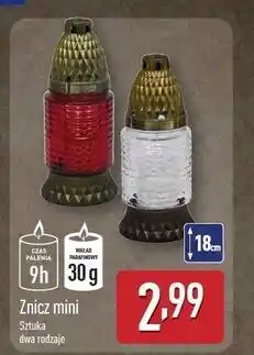 ALDI Znicz mini oferta