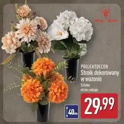 ALDI Stroik dekorowany w wazonie Projektdecor oferta