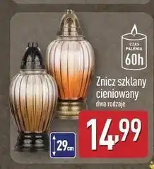 ALDI Znicz szklany cieniowany oferta