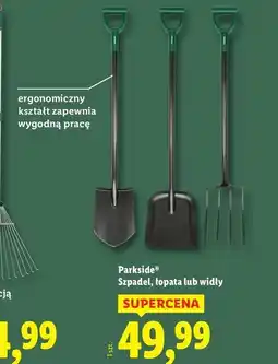 Lidl Widły Parkside oferta