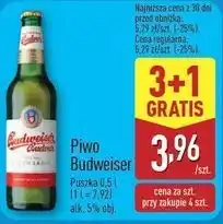 ALDI Piwo Budweiser oferta