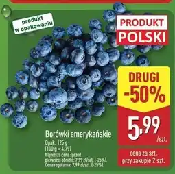 ALDI Borówka amerykańska oferta