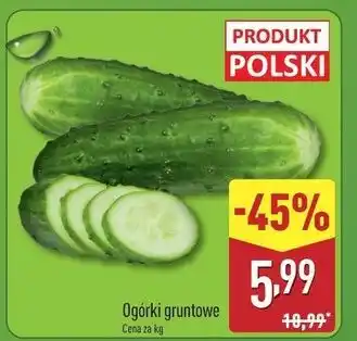 ALDI Ogórek gruntowy oferta