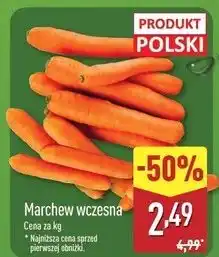 ALDI Marchew wczesna polska oferta