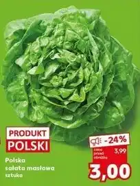 Kaufland Sałata masłowa polska oferta