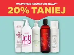 Netto Szampon do włosów przetłuszających się Ziaja Lawendowa oferta