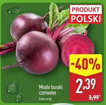 ALDI Buraki młode Polski oferta