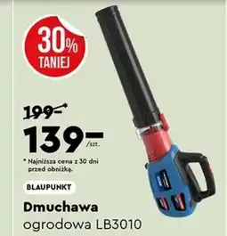 Biedronka Dmuchawa do liści Blaupunkt oferta