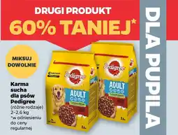 Netto Karma sucha dla psów Pedigree oferta