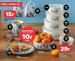 Netto Naczynia oferta