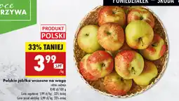 Biedronka Polskie jabłka wczesne na wagę oferta