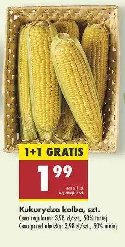 Biedronka Kukurydza kolba oferta
