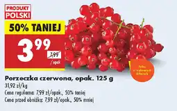 Biedronka Porzeczka czerwona oferta