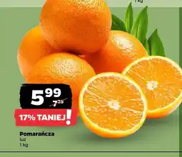 Netto Pomarańcza Netto oferta