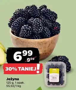 Netto Jeżyna Netto oferta