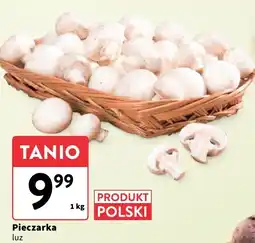 Intermarche Pieczarka luz Intermarche oferta