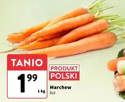 Intermarche Marchew luz Intermarche oferta