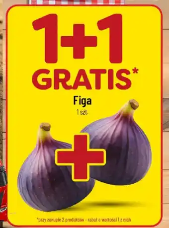 Polomarket Figa oferta