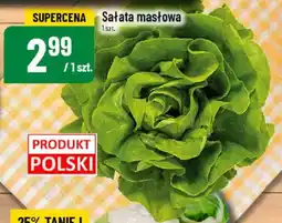 Polomarket Sałata masłowa oferta