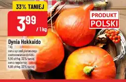 Polomarket Dynia Hokkaido oferta