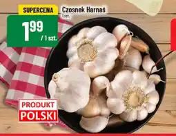 Polomarket Czosnek Harnaś oferta