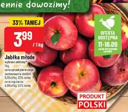 Polomarket Jabłka młode oferta