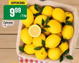 Polomarket Cytryny oferta