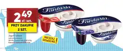 Avita Jogurt Fantasia oferta